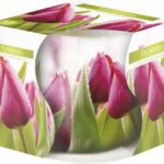 ПАРФИМИРАНИ СВЕЌИ ВО ЧАША